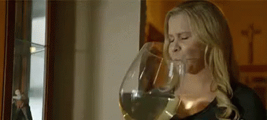 شرب GIF - Drink Amy Schumer Wine GIFs
