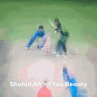 Shahid Afridi GIF - Shahid Afridi You GIFs