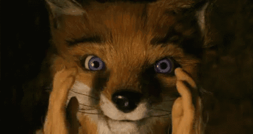 a close up of a stuffed fox covering its eyes with its hands .
