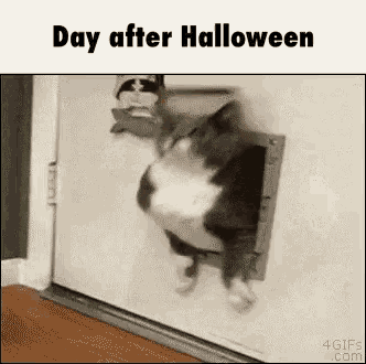 Day After Halloween Fat GIF - Day After Halloween Fat Halloween GIFs