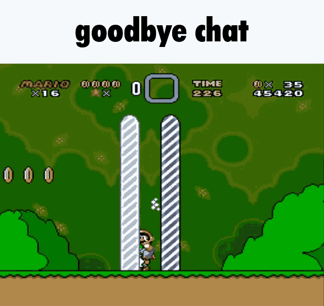 a screenshot of a video game with the words goodbye chat below it
