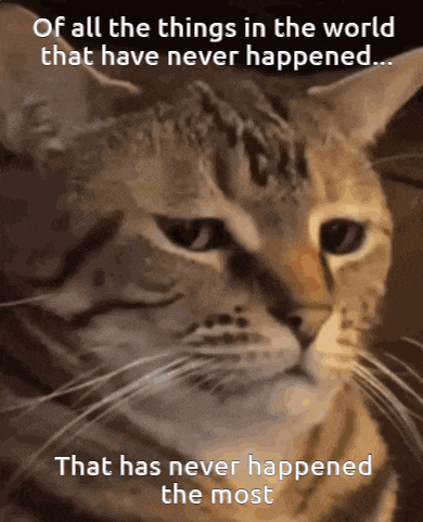 a cat with a caption that says of all the things in the world that have never happened