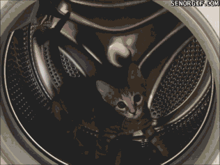 a picture of a washing machine that says senogif.com