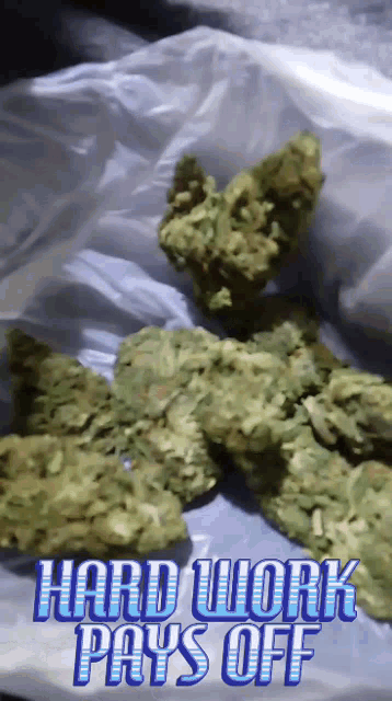 Mary Jane Hard Work Pays Off GIF - Mary Jane Hard Work Pays Off Weeds GIFs