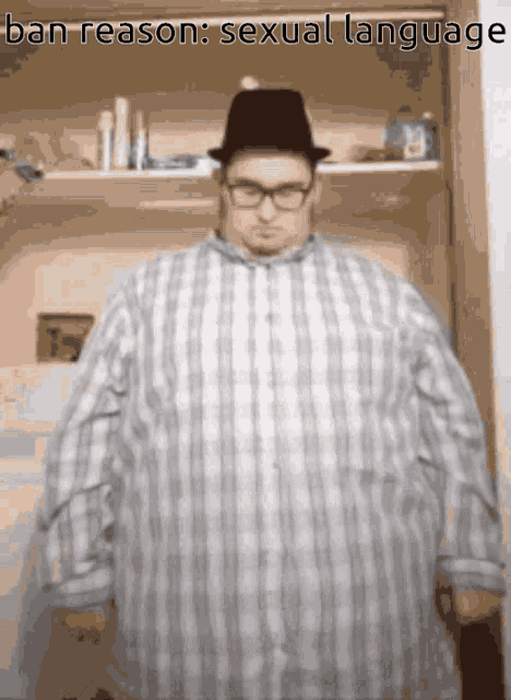 a man wearing a plaid shirt and a hat stands in front of a closet with the words " ban reason sexual language "