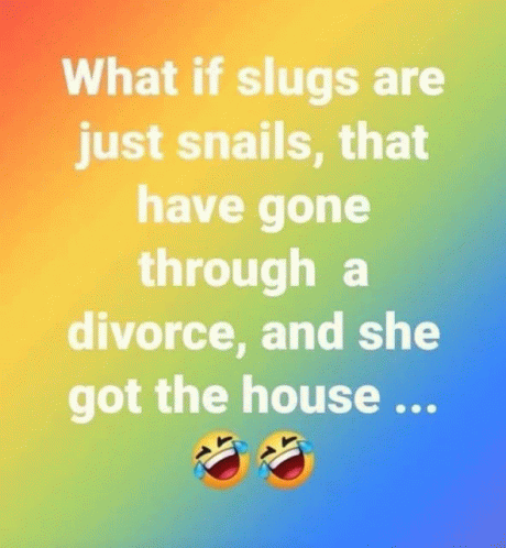 Slug_house GIF - Slug_house GIFs