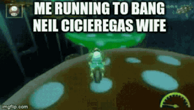 a screenshot of a video game with the words " me running to bang neil ciciregas wife "