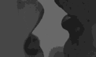 it is a black and white photo of a couple kissing .