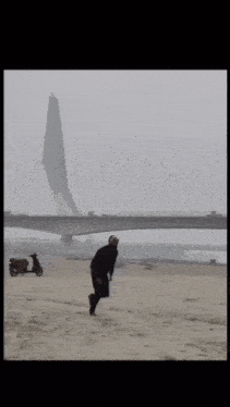 a man is running on a sandy beach with a bridge in the background