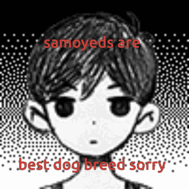a black and white drawing of a boy with the words samoyeds are best dog breed sorry on the bottom