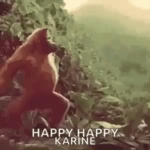 Monkey Ape GIF - Monkey Ape Dancing GIFs