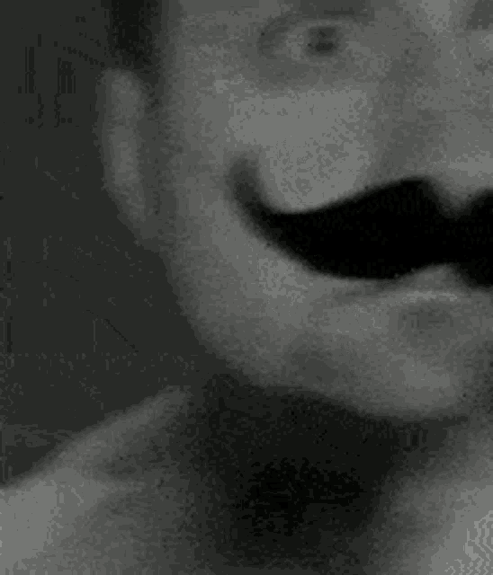 a black and white photo of a man wearing a fake mustache and bow tie .