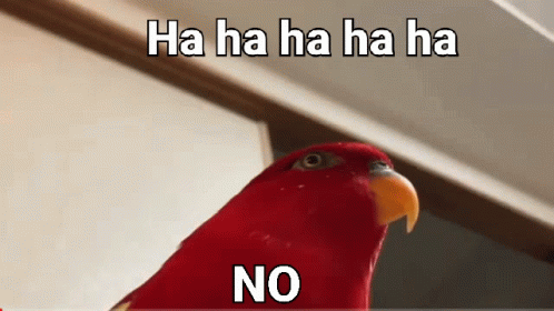 Red bird going &quot;Hahaha, No!&quot;