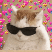 a cat wearing sunglasses is sitting in front of a background of pink hearts .