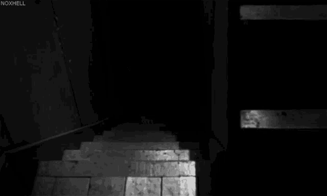 a black and white photo of a person crawling up stairs in a dark room .
