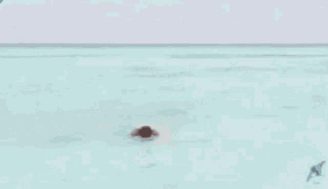 a shirtless man in blue swim trunks is walking on a beach