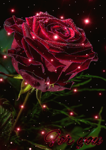 Flower Rose GIF - Flower Rose Sparkles GIFs