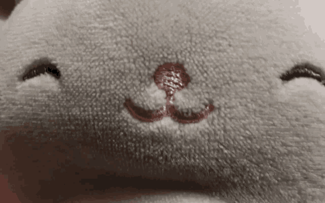 a close up of a stuffed animal face with a pink nose