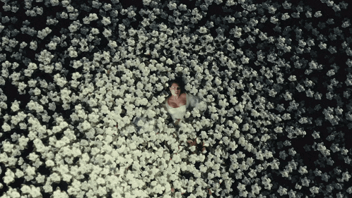 a woman in a white dress laying in a field of white flowers