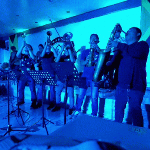 Brass Brass Band GIF - Brass Brass Band Play GIFs