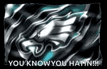 a picture of a philadelphia eagles flag with the words `` you know you hate ! ''