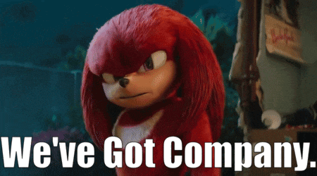 knuckles the echidna says we 've got company