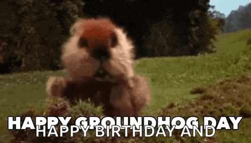 a groundhog is standing in the grass with the words `` happy groundhog day '' written on it .