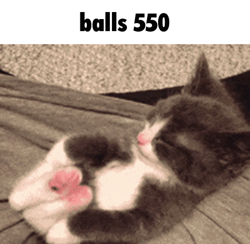 a cat is laying on its back with the words balls 550 below it