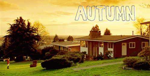 Juno Autumn GIF - Juno Autumn Fall GIFs