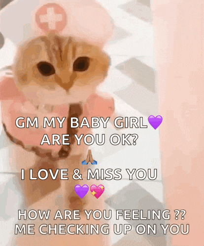 a cat wearing a nurse 's hat with a cross on it says gm my baby girl are you ok
