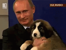 Putin Puppy GIF