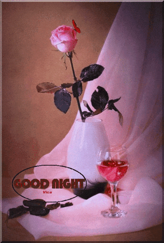 a pink rose in a vase next to a glass of wine with the words good night written on the bottom