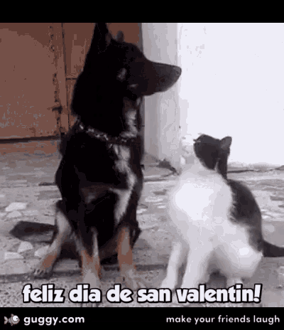Feliz Dia Desan Valentine Dogs GIF - Feliz Dia Desan Valentine Dogs GIFs