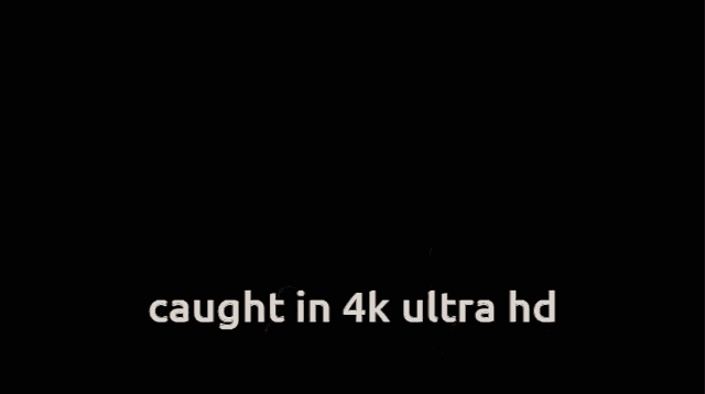 a cartoon of a boy holding a cell phone with the words " caught in 4k ultra hd " above him