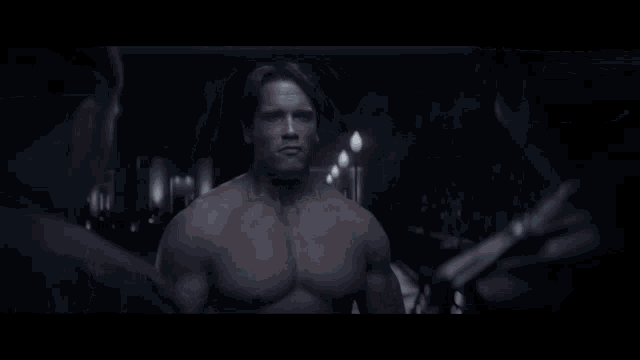 Arnold Terminator GIF - Arnold Terminator T101 GIFs
