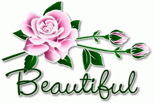Beautiful Flower GIF - Beautiful Flower Rose GIFs