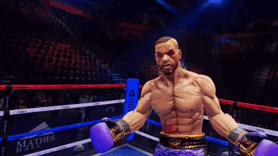 Boxing Video GIF - Boxing Video Game GIFs