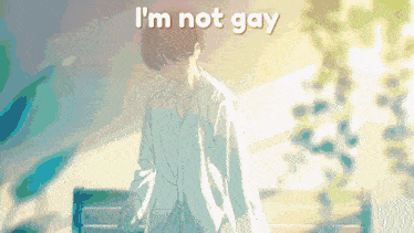 Im Not Gay Colors Meme GIF - Im Not Gay Colors Meme 20 Is 20 GIFs