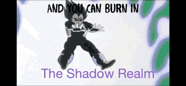 a picture of a cartoon character with the words and you can burn in the shadow realm below it
