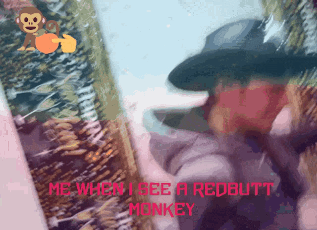 Red Butt Redbutt Monkey GIF - Red Butt Redbutt Monkey Monkey GIFs