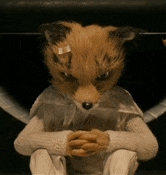 a stuffed animal with a fox mask is sitting down with his hands folded