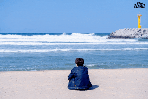 a person sitting on a beach with the wind written on the bottom right