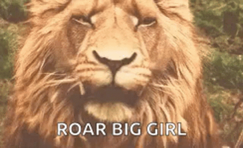 Aslan Narnia GIF - Aslan Narnia Lion GIFs