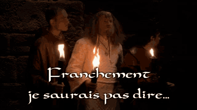 a man holding a torch with the words " franchement je saurais pas dire " on the bottom