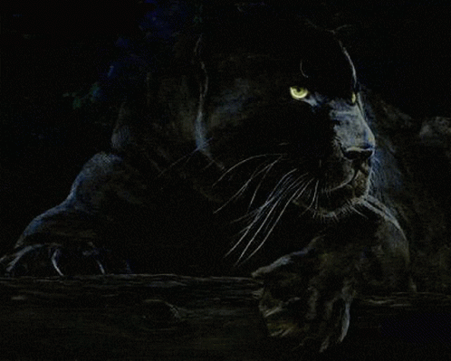Black Panther GIF - Black Panther Sleepy GIFs