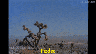 a picture of a desert with the words pizdec on it