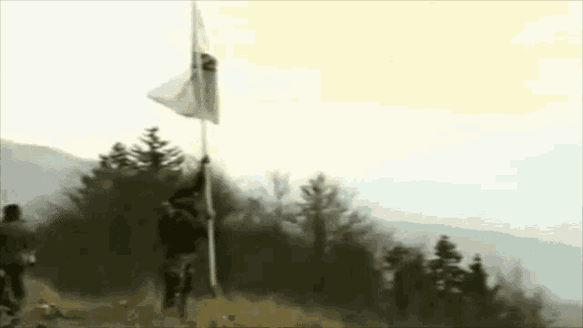 a man is holding a flag on top of a pole in a field .