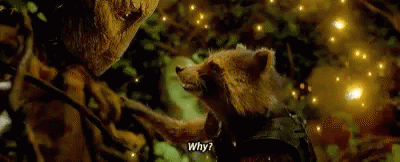 Guardians Of The Galaxy Rocket GIF - Guardians Of The Galaxy Rocket Raccoon GIFs
