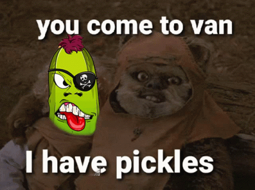 Pickleverse Van GIF - Pickleverse Pickle Van GIFs