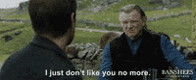 Bansheeofinisherin Dontlikeyou GIF
